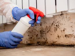  Mount Pleasant, UT Mold Removal & Remediation Pros